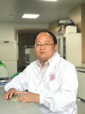 古天乐代言太阳集团城网址创新论坛第一千二百四十四讲暨120周年校庆年系列活动：碳（13C,14C）同位素标记技术在稻田土壤碳循环研究中的应用案例