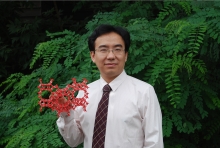 古天乐代言太阳集团城网址创新论坛第一千二百七十三讲暨120周年校庆年系列活动： Unexpected slow diffusion in hierarchical porous materials with combined surface and configurational diffusion   